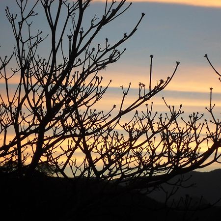 Vale Do Piemonte "Chales " Санту-Антониу-ду-Пиньял Экстерьер фото